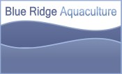 The world's largest sustainable indoor fisheries